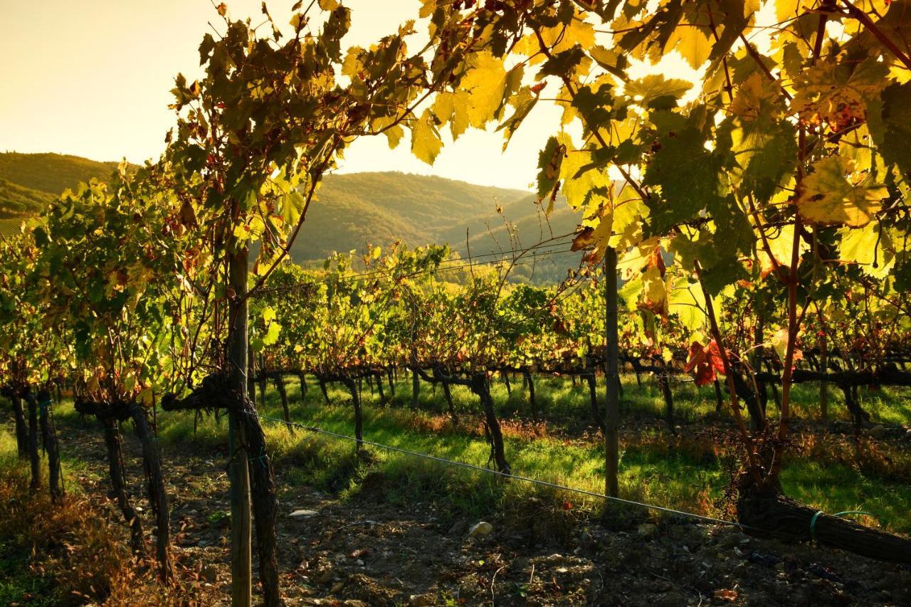 Stageroom03 - Chianti Castellina in Chianti Εξωτερικό φωτογραφία